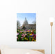 Capitol Building Washington DC Wall Mural
