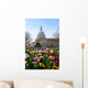 Capitol Building Washington DC Wall Mural
