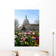 Capitol Building Washington DC Wall Mural
