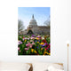 Capitol Building Washington DC Wall Mural