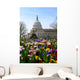 Capitol Building Washington DC Wall Mural