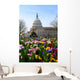Capitol Building Washington DC Wall Mural