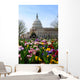 Capitol Building Washington DC Wall Mural