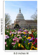 Capitol Building Washington DC Wall Mural