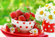 bowl of fresh strawberries Wall Mural