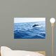 Dolphin Jumping Ocean