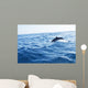 Dolphin Jumping Ocean