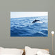 Dolphin Jumping Ocean