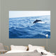 Dolphin Jumping Ocean