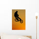 Bmx Wall Mural