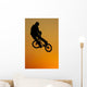 Bmx Wall Mural