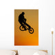 Bmx Wall Mural