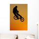 Bmx Wall Mural