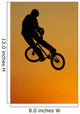 Bmx Wall Mural