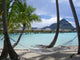 Hammock in Bora-bora Wall Mural