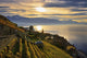 Switzerland, Lavaux Unesco World Heritage region, Vineyards Wall Mural