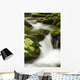 Water cascading Wall Mural