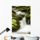 Water cascading Wall Mural