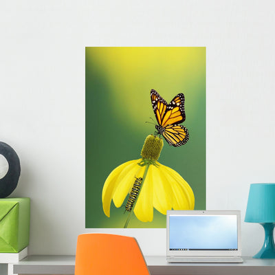 Caterpillar to Butterfly British Wall Mural shown on a wall
