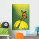 Caterpillar to butterfly;British columbia canada Wall Mural