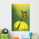 Caterpillar to butterfly;British columbia canada Wall Mural
