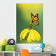 Caterpillar to butterfly;British columbia canada Wall Mural