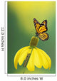 Caterpillar to butterfly;British columbia canada Wall Mural