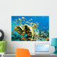 Yellow Coral with Orange