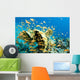 Yellow Coral with Orange