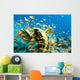 Yellow Coral with Orange