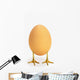 Egg with bird legs;British columbia canada Wall Mural