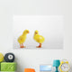 Two yellow baby chicks chirping;British columbia canada Wall Mural