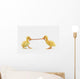 Two baby ducklings fighting over a worm;British columbia canada Wall Mural