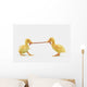 Two baby ducklings fighting over a worm;British columbia canada Wall Mural