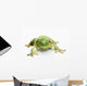 White's tree frog ;British columbia canada Wall Mural