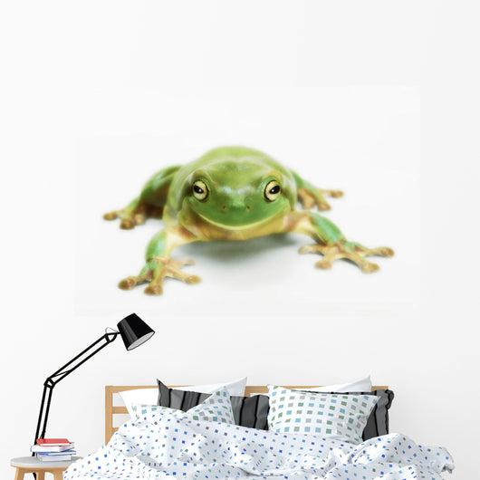 White's tree frog ;British columbia canada Wall Mural