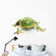 White's tree frog ;British columbia canada Wall Mural