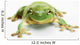 White's tree frog ;British columbia canada Wall Mural