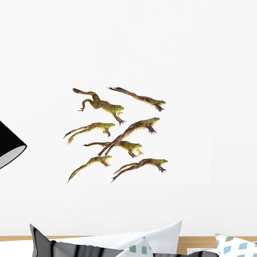 Leaping frogs;British columbia canada Wall Mural