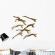 Leaping frogs;British columbia canada Wall Mural