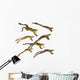 Leaping frogs;British columbia canada Wall Mural