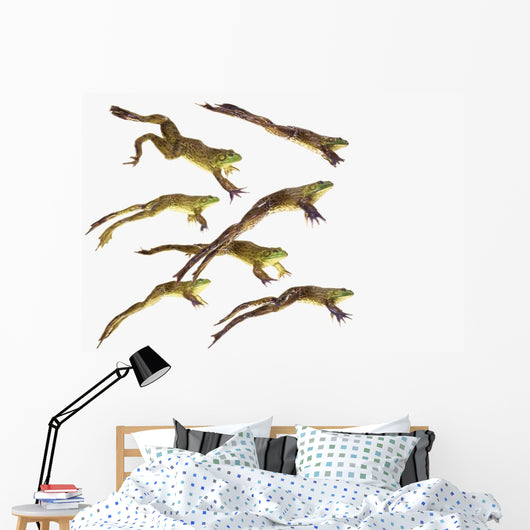 Leaping frogs;British columbia canada Wall Mural