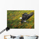 Bald eagle diving Wall Mural