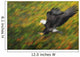Bald eagle diving Wall Mural