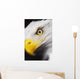 Close up of a bald eagle's face;British columbia canada Wall Mural