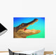 Alligator head with open mouth against a blue and green background Wall Mural