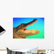 Alligator head with open mouth against a blue and green background Wall Mural