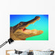 Alligator head with open mouth against a blue and green background Wall Mural