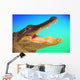 Alligator head with open mouth against a blue and green background Wall Mural