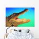 Alligator head with open mouth against a blue and green background Wall Mural